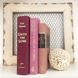 SOLD*******Bundle of Decorative staging Books